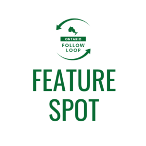 GHOST SPOT 1 | Homepage | Ontario Follow Loop